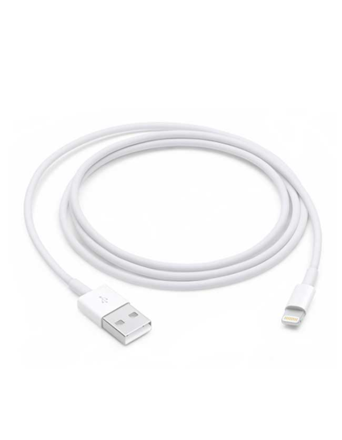 Apple Cable USB - Lightning 1 m