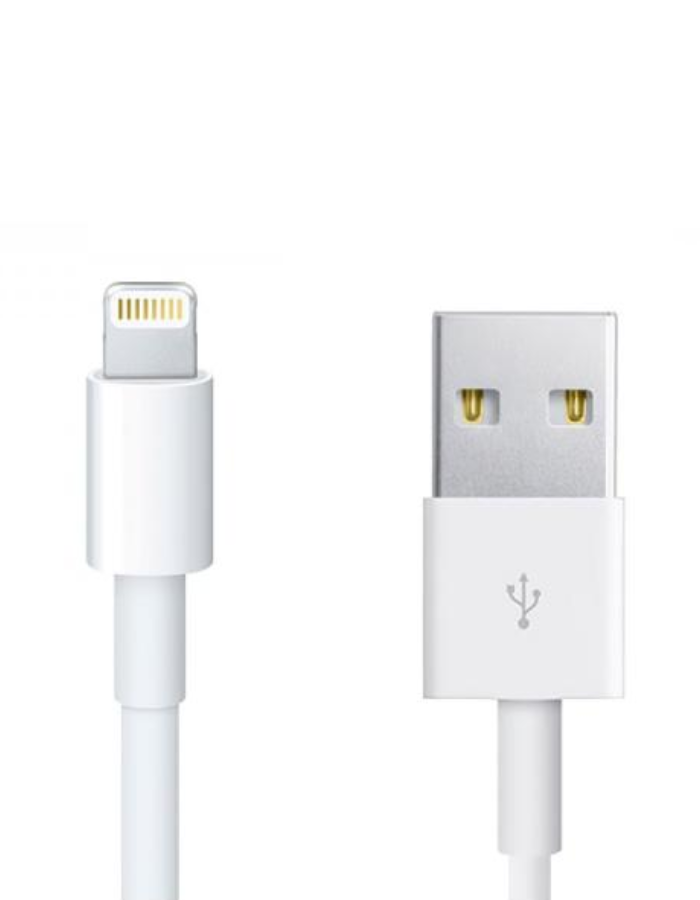 Apple Cable USB - Lightning 1 m