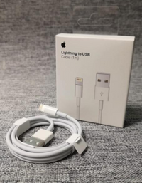 Apple Cable USB - Lightning 1 m