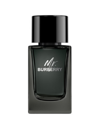 Men's Burberry Mr Burberry Eau De Parfum 100 ml